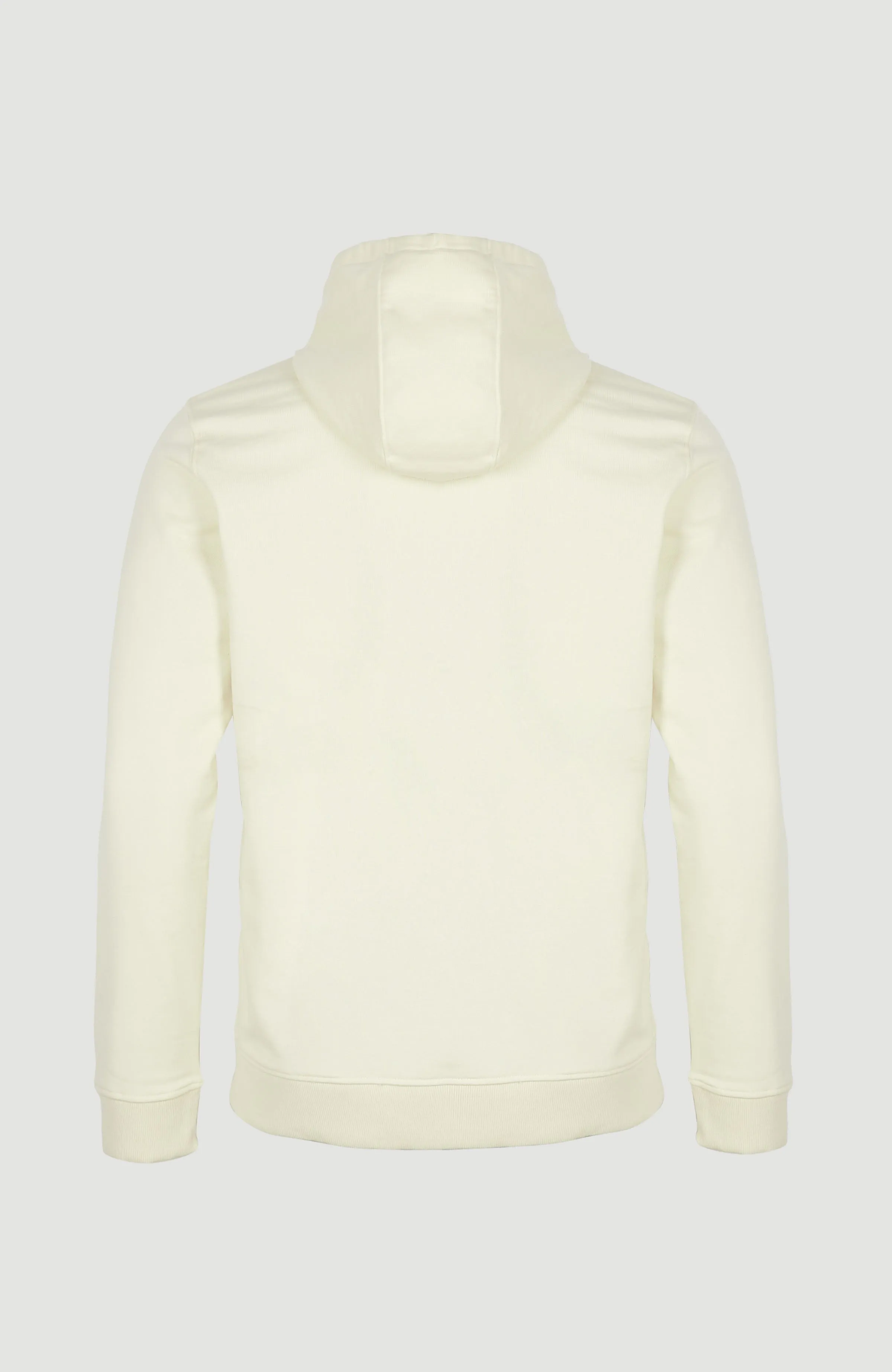 Block Hoodie | Birch