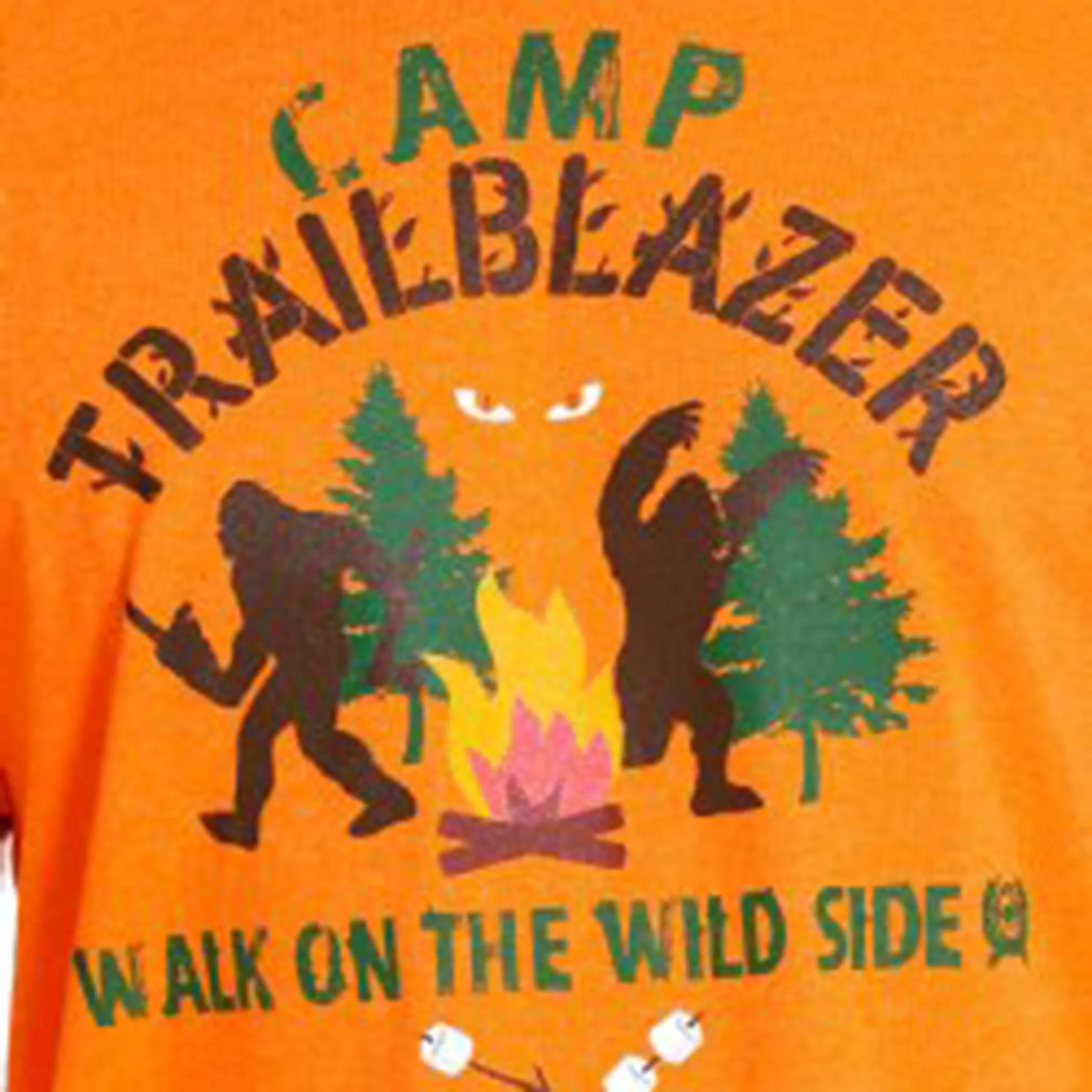 Cinch Men's Trailblazer "Walk On The Wild Side" Tee