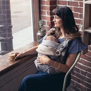 Ergobaby 360 Bundle (Carrier   Easy Snug Insert) - Grey