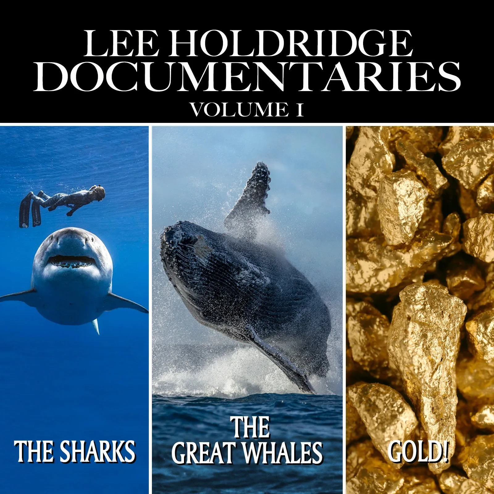 LEE HOLDRIDGE: DOCUMENTARIES - Volume 1